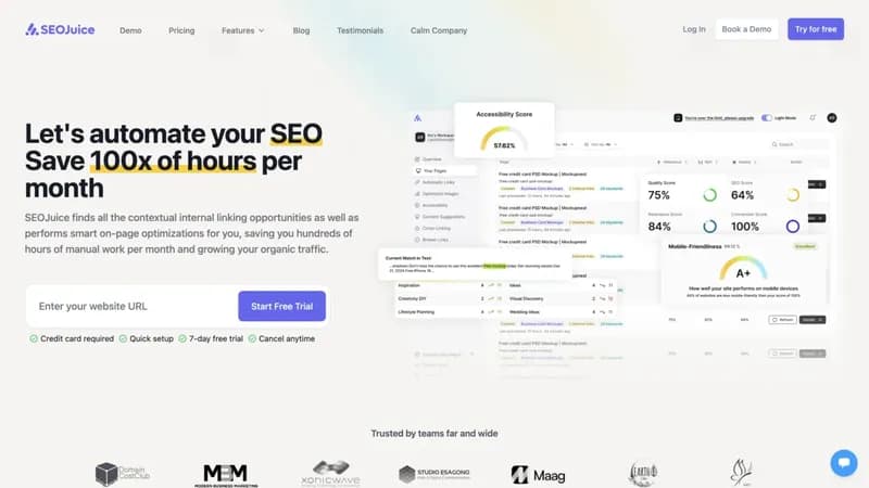 SEOJuice screenshot