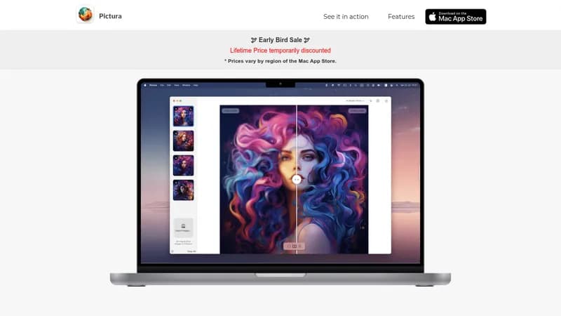 pictura website