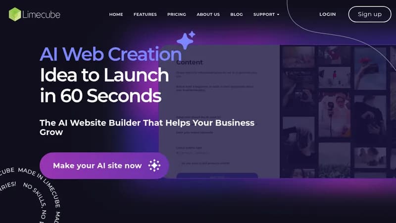 limecube website