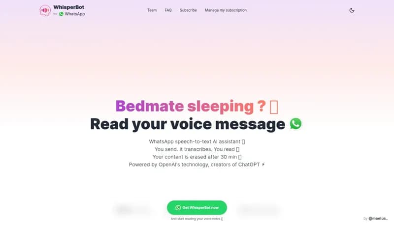 WhisperBot screenshot