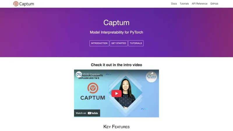 Captum screenshot