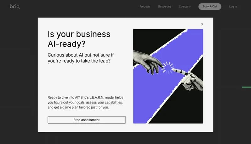 Briq screenshot