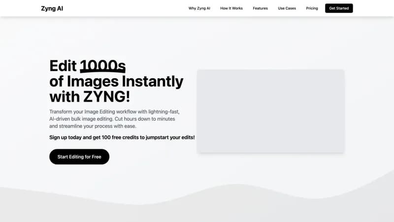 Zyng AI screenshot