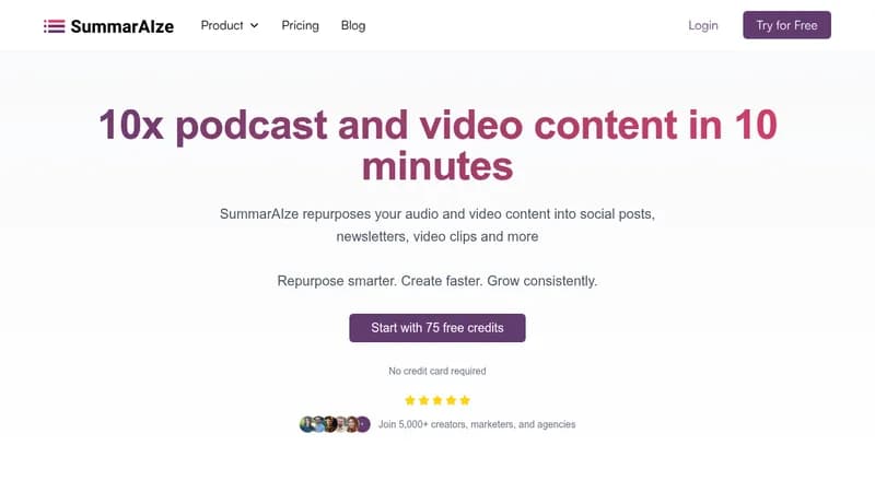 summaraize website