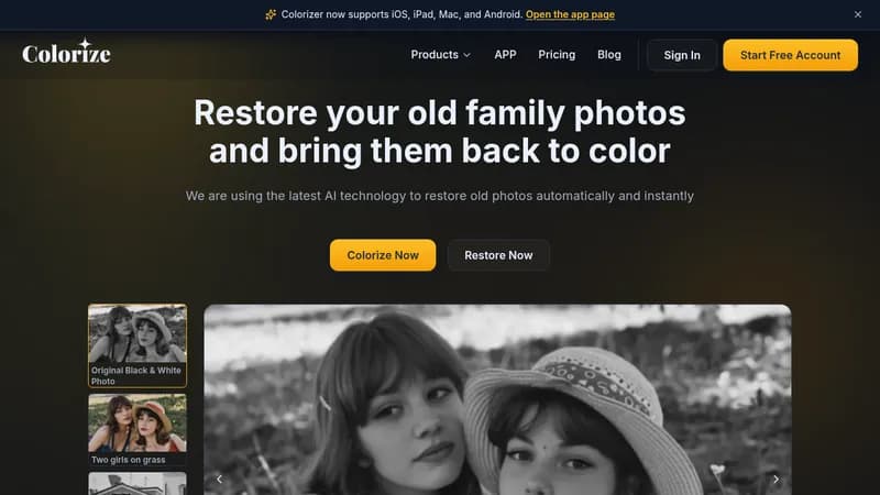 imagecolorizer website