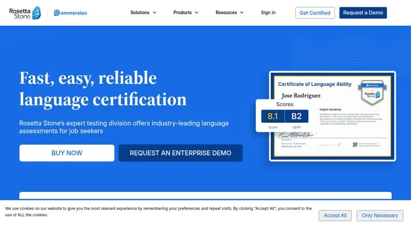 emmersion website