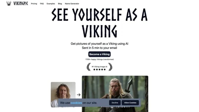 VikingPic screenshot