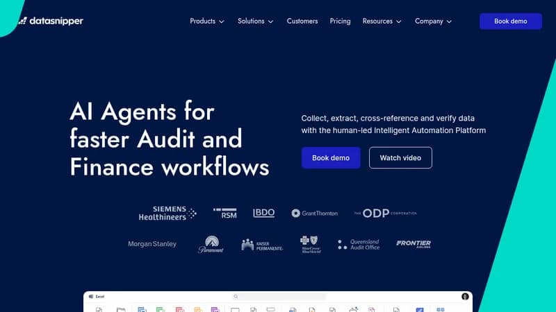 datasnipper website