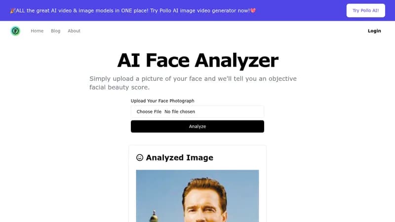 ai face analyzer website
