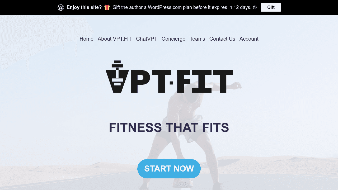 vpt.fit website