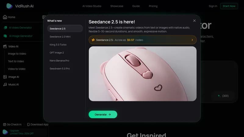 vidrushai website