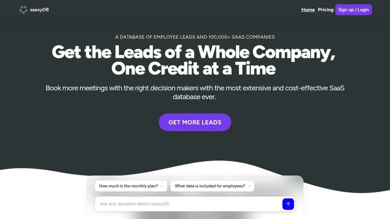 saasydb website