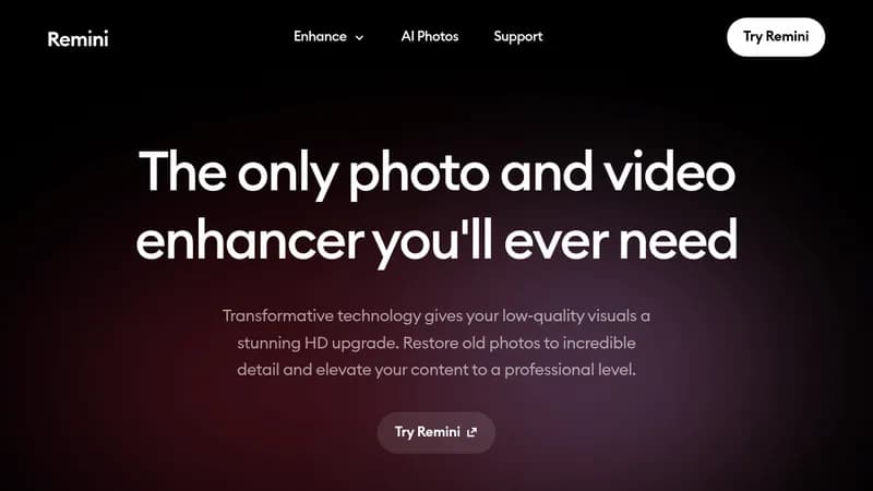 remini website